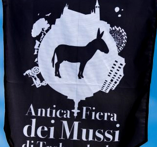 Antica Fiera dei Mussi Trebaseleghe 2024