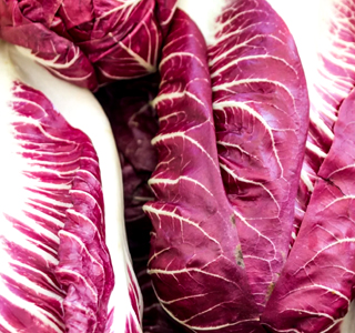 Festa del Radicchio di Asigliano Veneto 2024