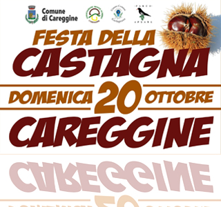 Festa della Castagna Careggine 2024