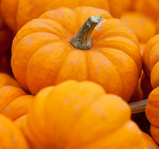 Festa della Zucca Sernaglia (TV) Veneto 2024