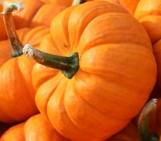 Fiera della Zucca Reggiolo 2024