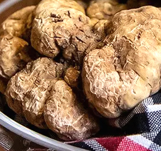 Fiera Internazionale del Tartufo Bianco di Alba 2024