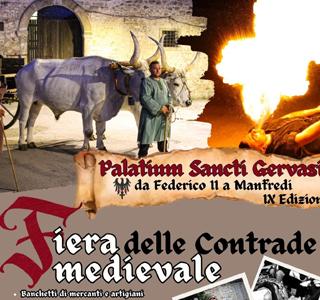 Fiera Medievale delle Contrade Palazzo San Gervasio 2024