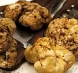 Fiera Nazionale del Tartufo Bianco del Monferrato Montechiaro d'Asti 2024