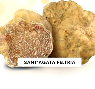 Fiera Nazionale del Tartufo Bianco Pregiato