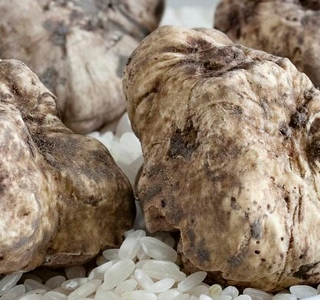 Fiera Nazionale del Tartufo Bianco Trisobbio 2024