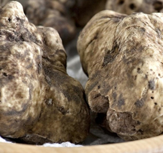 Fiera Regionale del Tartufo Castelnuovo Don Bosco 2024