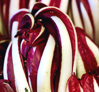 Mostra del Radicchio Rosso Tardivo di Treviso IGP Zero Branco 2025