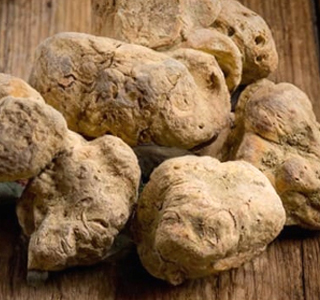 Mostra Mercato del Tartufo Bianco del Serrapotamo Carbone 2024