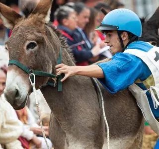 Palio degli Asini Alba (CN) Piemonte 2024