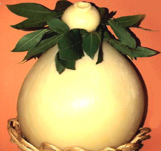 Sagra del Caciocavallo