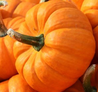 Sagra della Zucca Caorera 2024