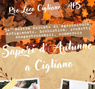 Sapori d'Autunno Cigliano 2024